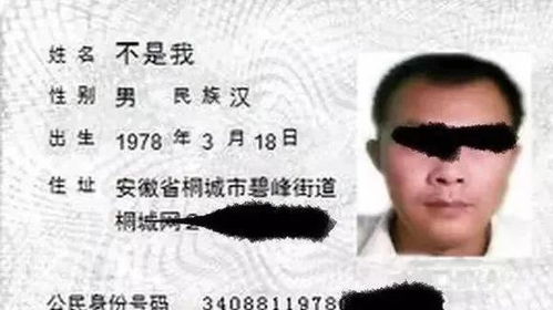 前言：为何要给“彦琪”添个字？