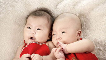 八字头胎性别不一致，如何通过八字看是否怀双胞胎？