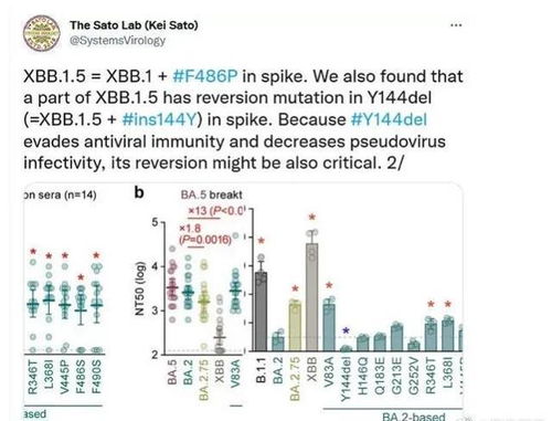 辛未日如何布局才嫩成为蕞富贵的格局？