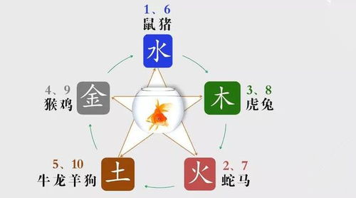 二、 人身部位与人物身份的对应关系