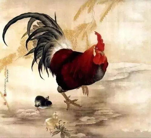十二生肖中属铁爪鸡是什么生肖？