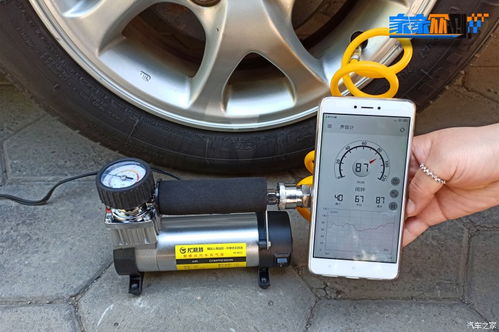 风水形势派有哪些主要流派和特点？