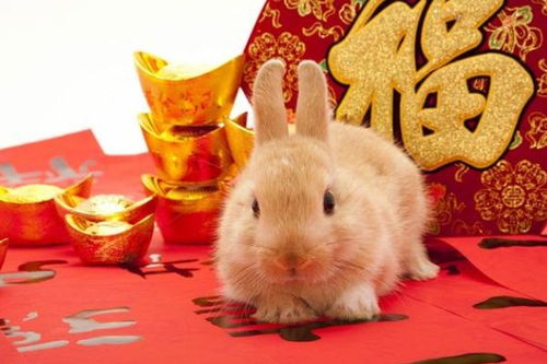 ：九月诞生之金牛婴儿在事业持续发展中的潜在优势概述
