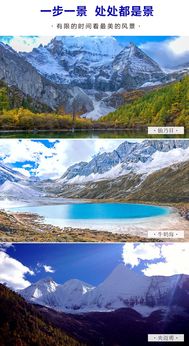 上午：抵达与初印象——热浪中的绿色拥抱