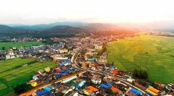 购物：不买就是亏