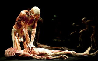 一、 古人对“死亡”的文化认知