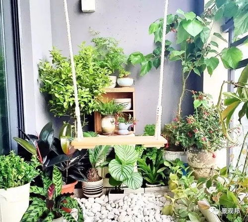 三、  植物元素的生物场调节与生机提升
