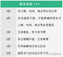 名字的奥秘：美名堂怎么为名字打分？