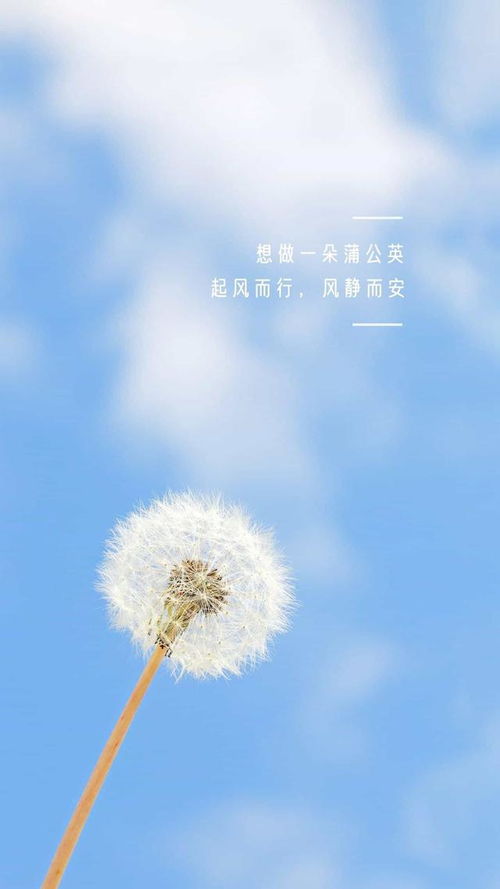 1. 星辰象征：光芒、 希望与远方