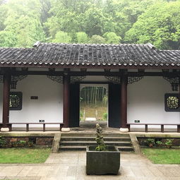 美食：又贵又难吃