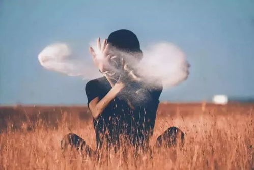 无奈情绪背后的情感投射：现实压力下的内心挣扎