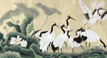 人生无常指的是什么生肖？