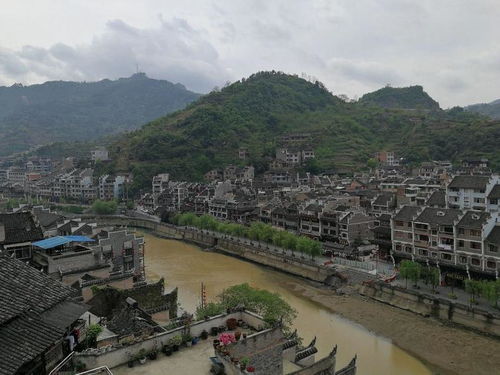 Day 2：与暴雨共舞的绝望与烤鱿鱼