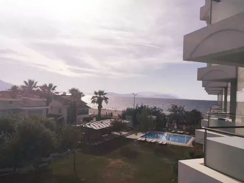 美国郡门票：2026年黄历警告！这些坑千万别踩啊啊啊