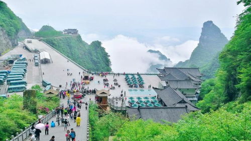 最佳时间？别扎堆夏秋！春天来这才有“野感”