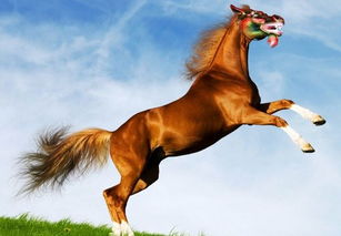 爱情要甜蜜啦！