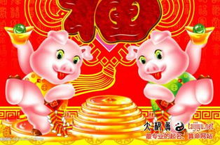 猪宝宝的五行和生辰八字那些事儿