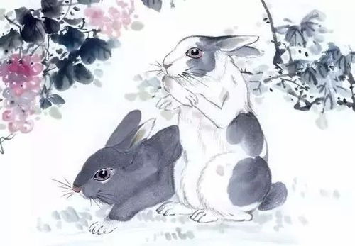 将‘暇不掩玉’打一生肖，是哪个生肖？