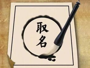 四、社会周边环境认知度与应用实践提议
