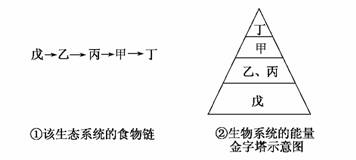 风水宝地的遴选：成功的关键要素
