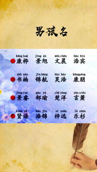 戴杨培名字的含义