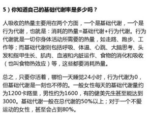终极提议与反向思考（含噪音）