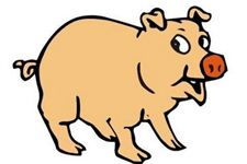 属猪摩羯座男生性格特点和感情倾向具体是怎样的？