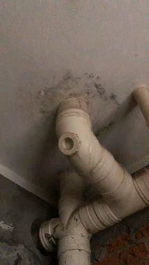 震惊！水管漏水竟让全家财运漏光光！