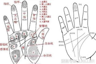 手相经心秋，豪杰手掌的特征有哪些？
