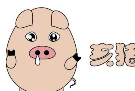 属猪女性几月出生最旺夫旺子？