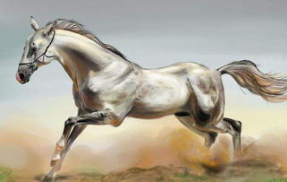 1954年对应的生肖和属相是什么意思？