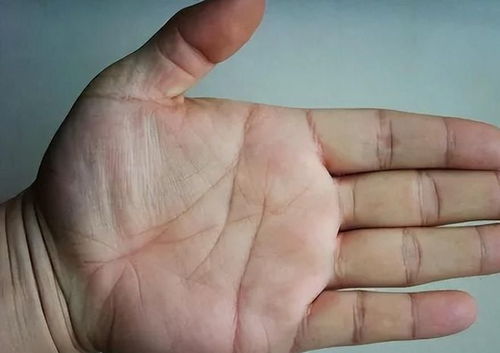 一、 手相学理论基础与传统方式观念的延续性