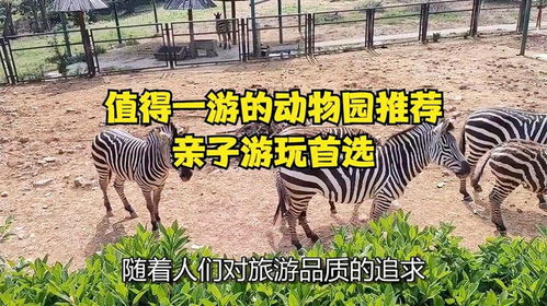 科普展览区 & 动物表演区 （先别笑）