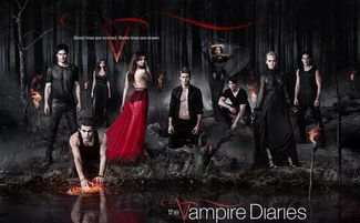 理论框架：阴阳二元与灵体偏好机制