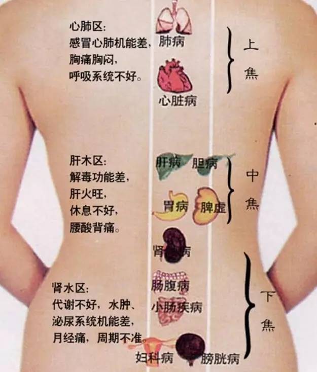 前言：后背痦子的医学与文化底蕴双沉重意义
