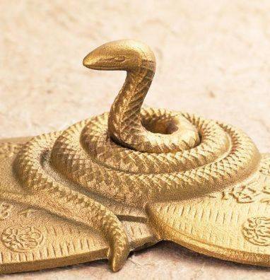 2026年属蛇本命年为什么不能佩戴黄金，2026年适合佩戴哪种黄金饰品？