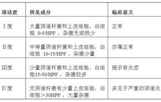 十三、 多维度综合评分及优势劣势辨析
