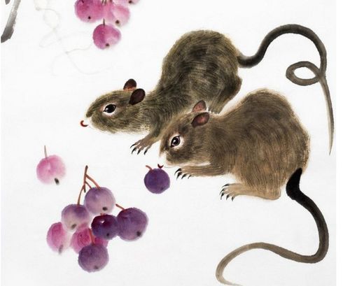 老鼠也有烦恼：职场生存的坑