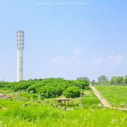 五、购物：买点垃圾回家吧, 反正也不贵