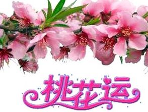 走桃花运的利弊分析
