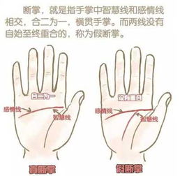 1. 主观性强较大且具领导潜质