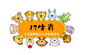 属相冲突的具体配对示例