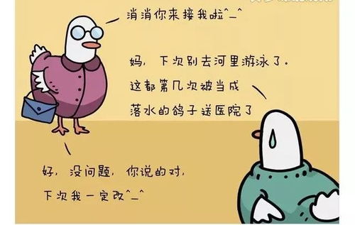 厨房火元素布局与身体气场的互动关系