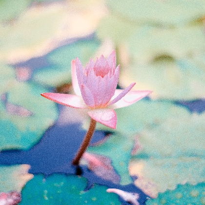 感情与桃花运细致剖析