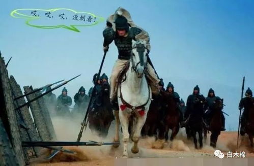 赵云“七进七出”成功的深层原因剖析