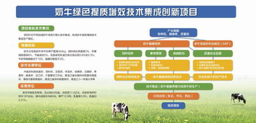 2.3 创新发展？先活下来再说吧