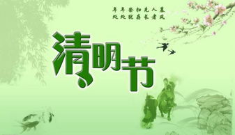 三、 环保祭祀与绿色扫墓的实践路径