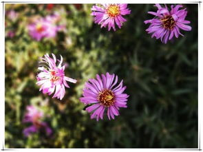 属牛男孩名字中草字头吉利，取个寓意水草丰茂的小名，有没有什么好建议呢？