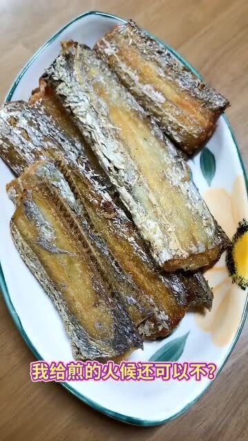 第一章：带鱼？带个锤子！