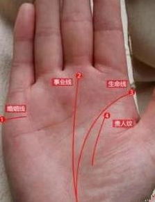 1. 动力机制缺失与机遇匮乏的内在映射